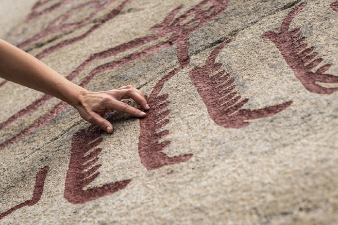Rock carvings in Bohuslän: Vitlycke Museum 