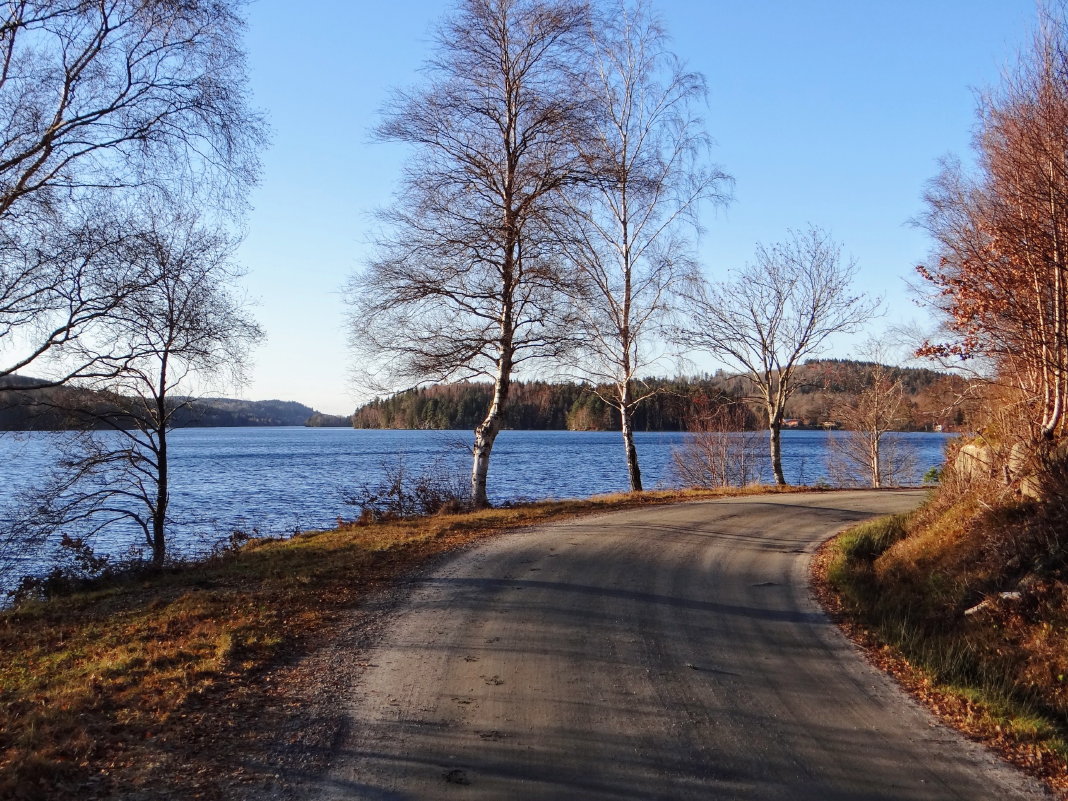 Gothenburg: A November day in the Lake District