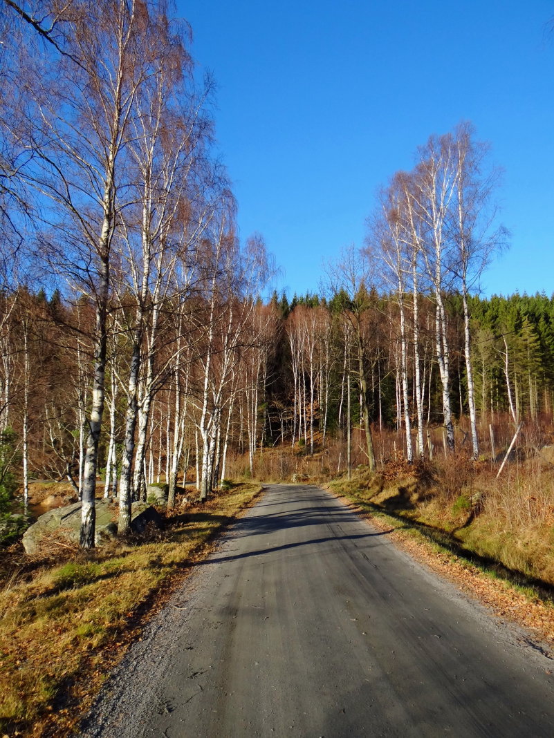 Gothenburg: A November day in the Lake District