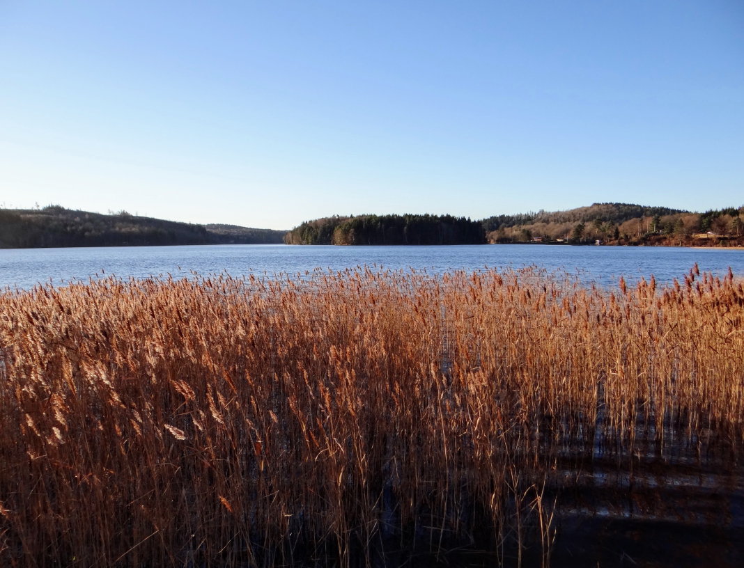 Gothenburg: A November day in the Lake District