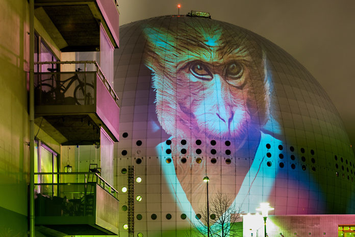 French video artist Julien Nonnon Stockholm exhibition SAFARI URBAIN STHLM