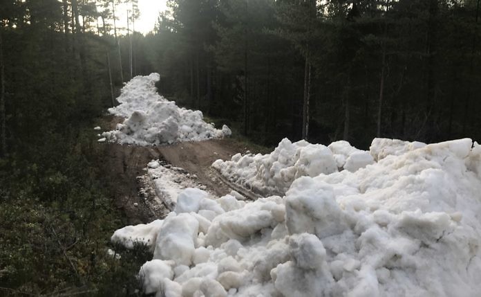 Mora and Sälen in Dalarna: Vasaloppsarenan opens for skiing