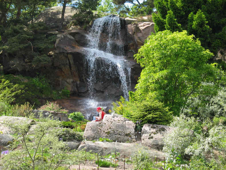 Botanical Garden