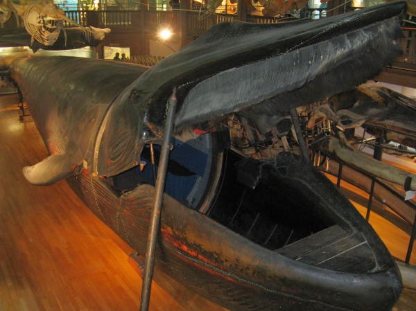 Gothenburg Natural History Museum