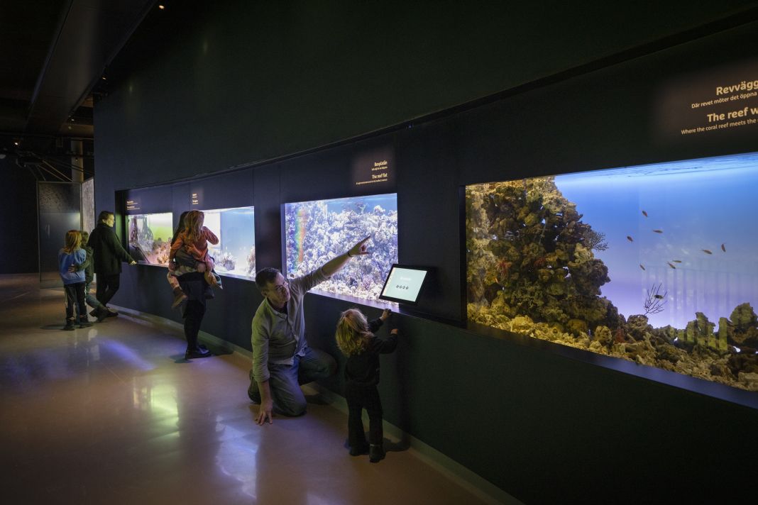 Sjöfartsmuseet Akvariet