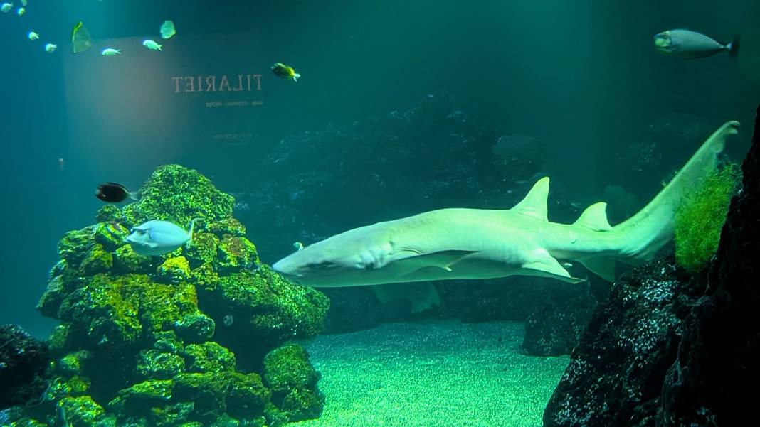 Universeum: Sweden's ultimate science and nature adventure