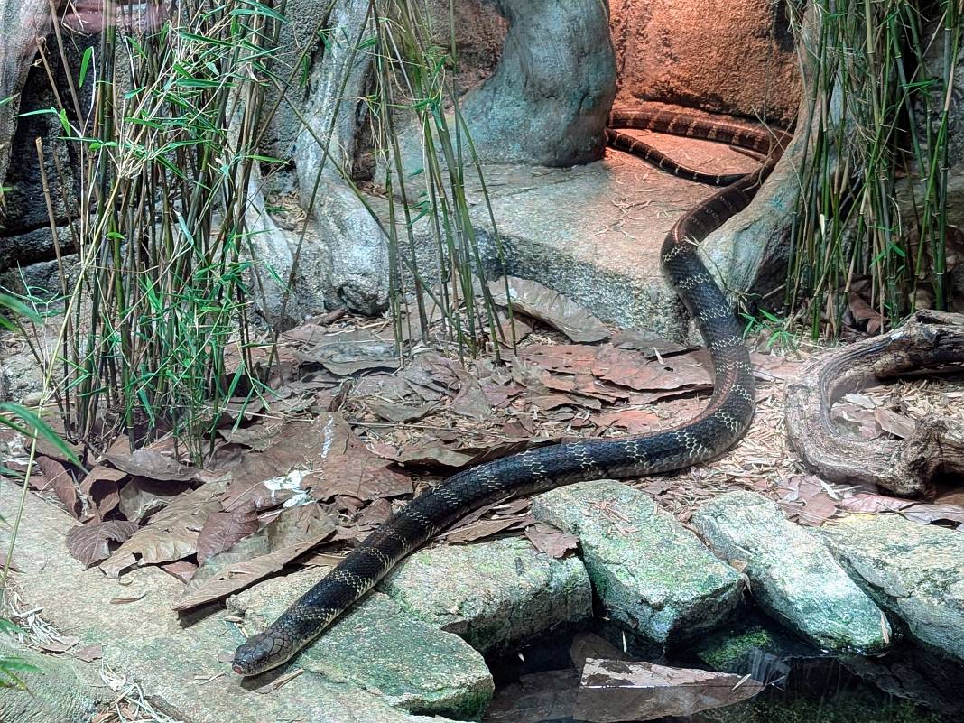 Universeum: Sweden's ultimate science and nature adventure