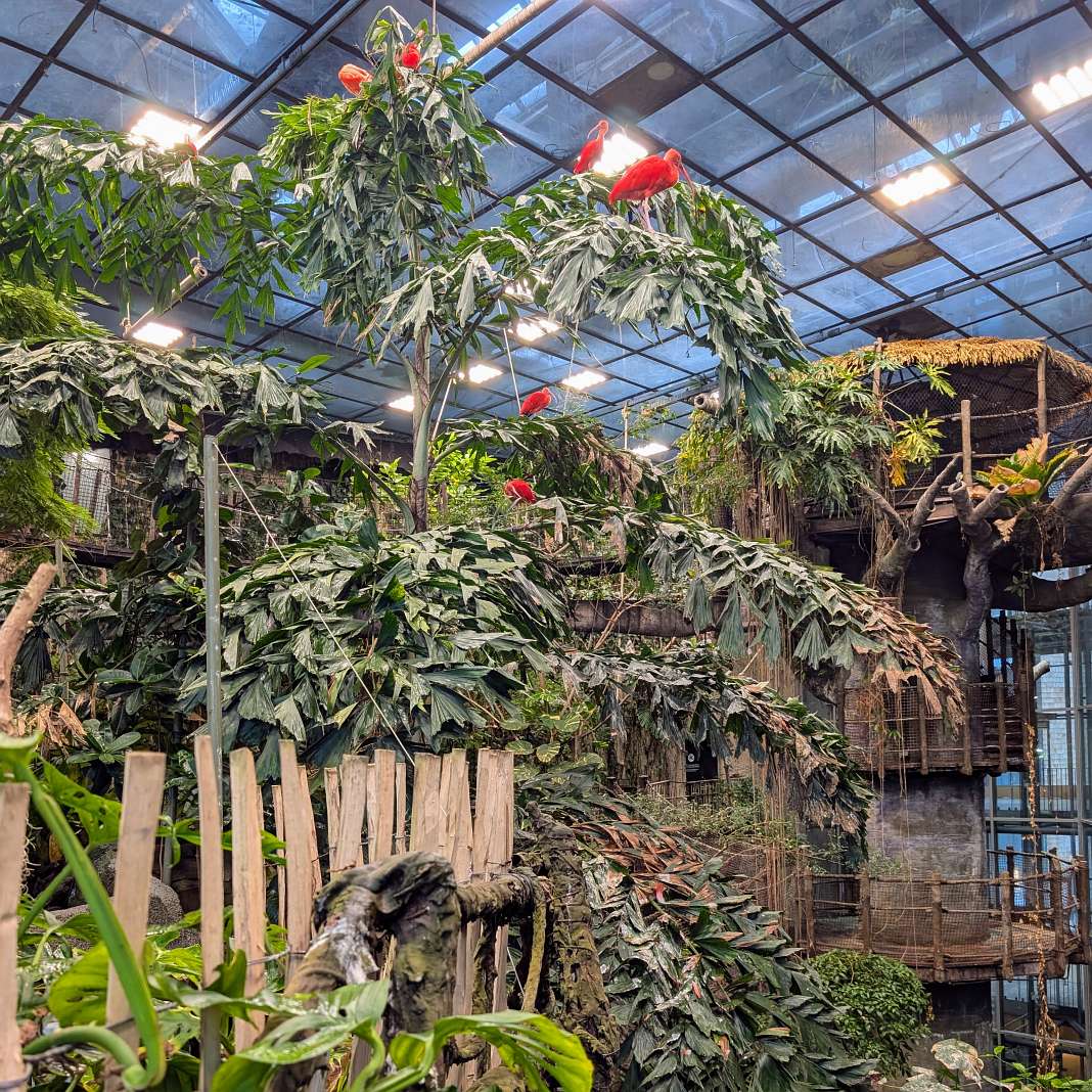 Universeum: Sweden's ultimate science and nature adventure