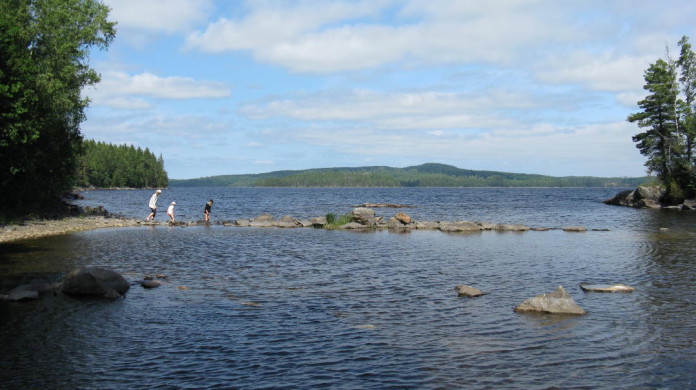 Glaskogen near Arvika in Värmland