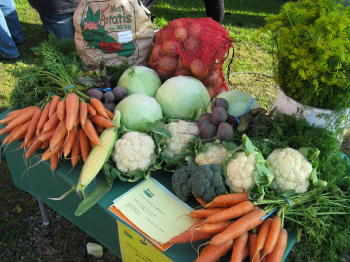 Harvest festivals in Sweden