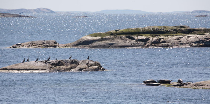 Kosterhavet National Park