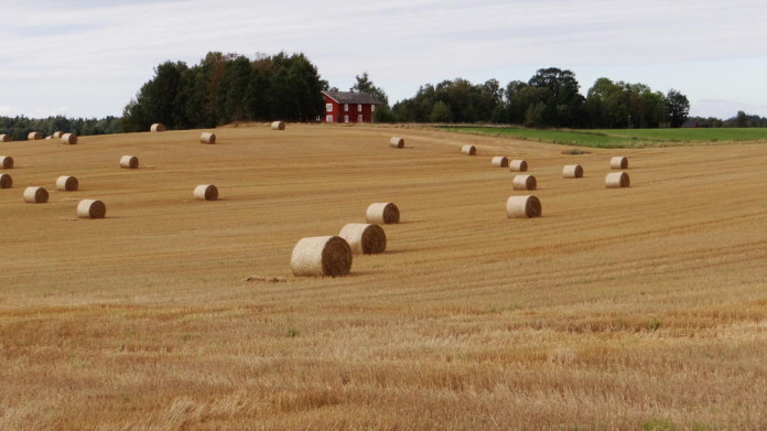 Southern Dalsland, near Lake Vänern