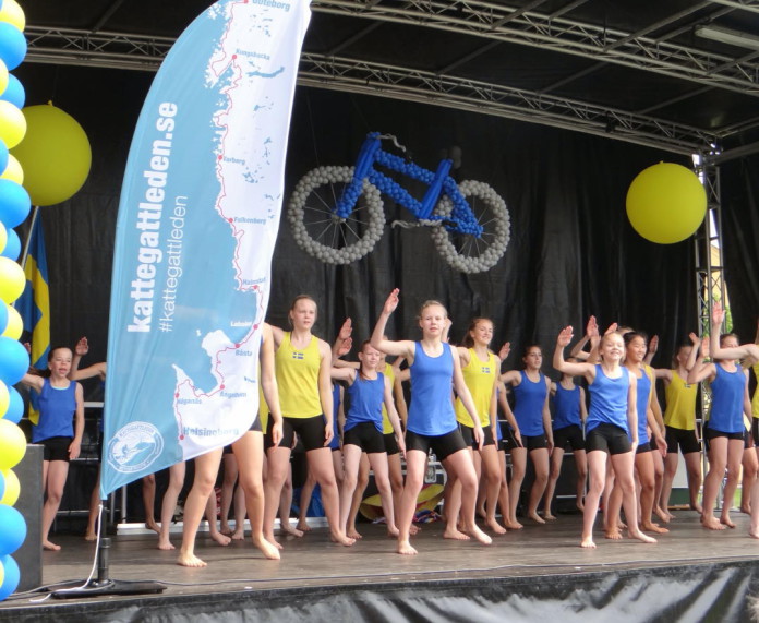 National Day of Sweden